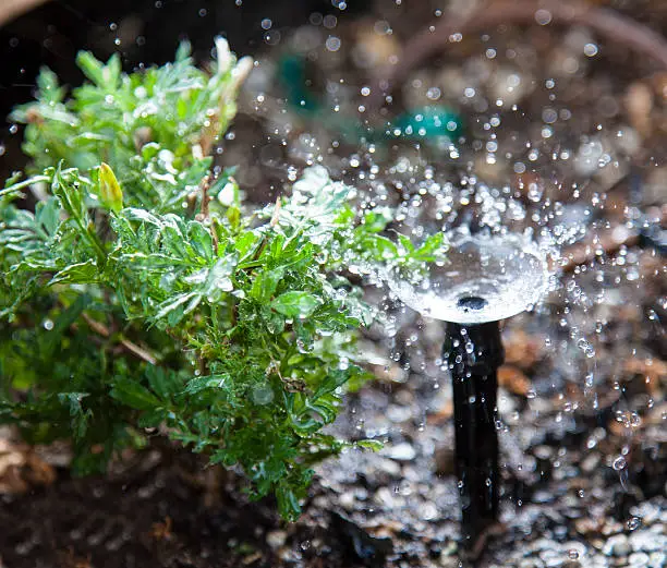 Sprinkler System